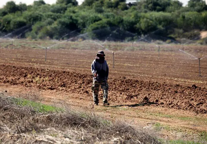 Linke fürchtet Einwanderung in prekäre Arbeitsverhältnisse Linke fürchtet Einwanderung in prekäre Arbeitsverhältnisse