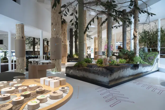 Museum am Schölerberg In der neuen Dauerausstellung gibt es viel zu entdecken – von heimischen Tierarten bis zu ausgestorbenen Pflanzen aus der Zeit des Karbon. / Foto: Angela von Brill