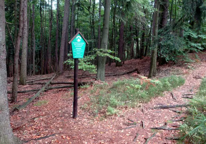 Sachsen und Brandenburg fordern vom Bund Grenzschutz