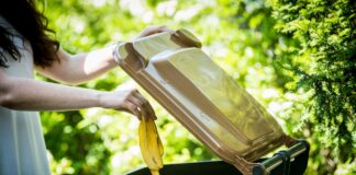 In den warmen Sommermonaten können einige Tipps zum richtigen Umgang mit den Bioabfällen beachtet werden. / Foto: A.W. Sobott, AWIGO