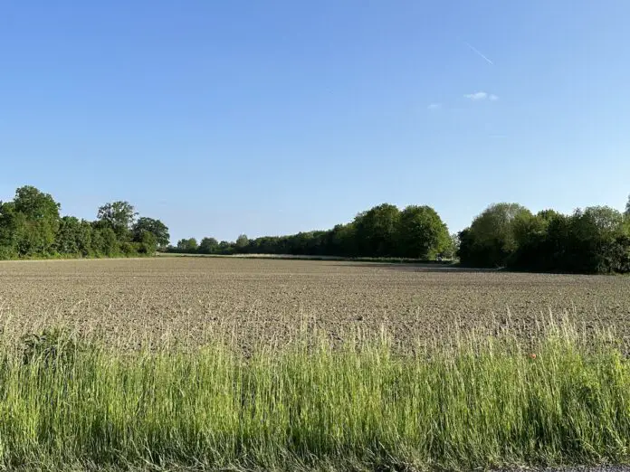 Grüner Finger am Westerberg