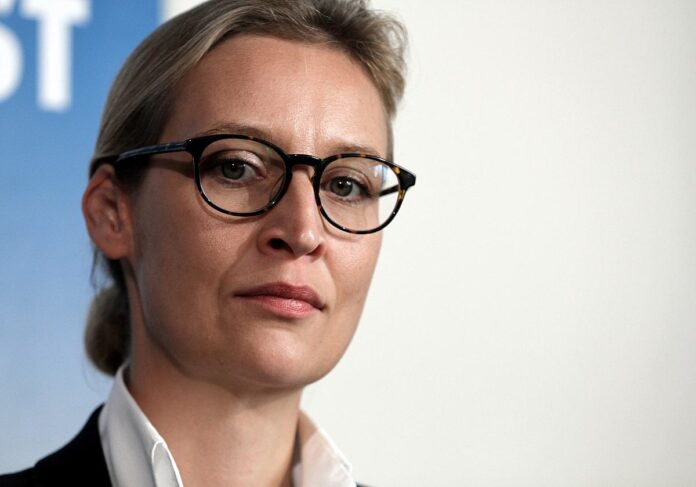 Alice Weidel (AfD)
