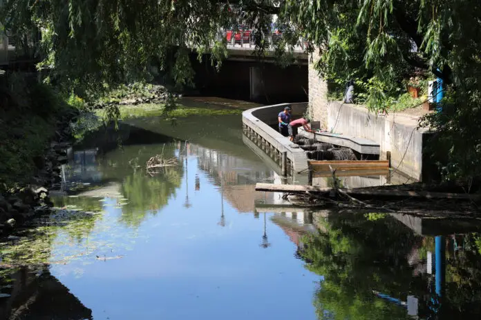 Das Wasser links ist durch das Wehr gestaut, rechts befindet sich der Fischpass. / Foto: Simon Vonstein