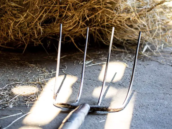 Mistgabel (Symbolbild)