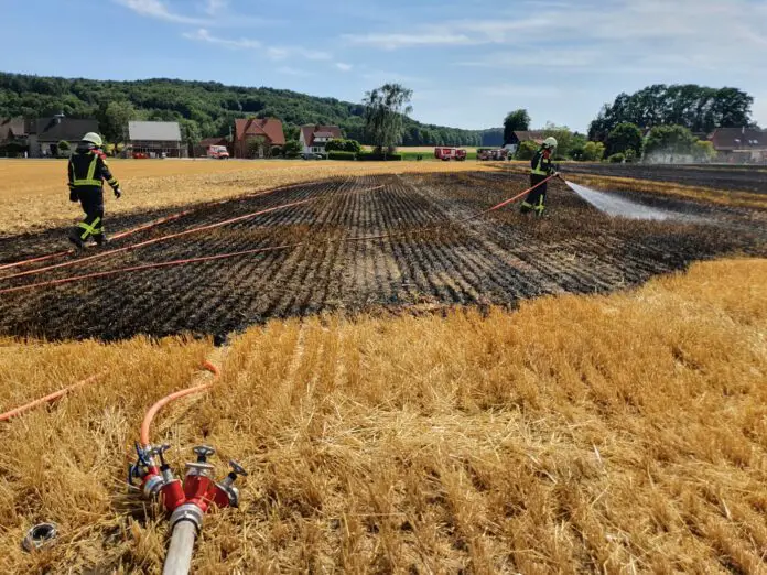 Feuer auf Feld breitet sich rasch aus, Wohnhäuser gefährdet