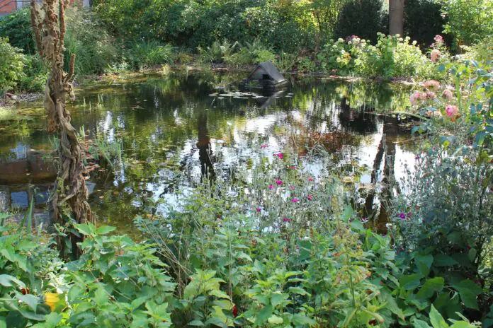 Stadt und Landkreis schreiben den Naturschutzpreis 2023 zum Thema stille Gewässer aus. / Foto: Bärbel Echelmeyer