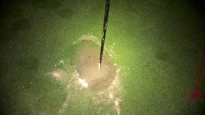 In der Nacht befüllten Aktivisten Löcher des Golfplatzes mit Zement. / Foto: XR