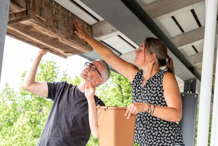 Axel Degen und Isabella Markfort holen die Vögel aus den Nistkästen unter dem Rathausdach und beringen sie. / Foto: Gemeinde Wallenhorst