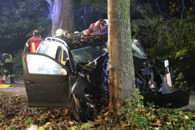 PKW kracht vor Baum, Fahrerin und Kleinkind in Bissendorf schwer verletzt