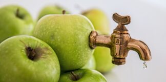 Apfelsaft, Äpfel / Foto: Steve Buissinne, Pixabay
