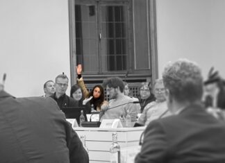 Nicole Emektas enthält sich der Solidaritätsresolution mit Israel