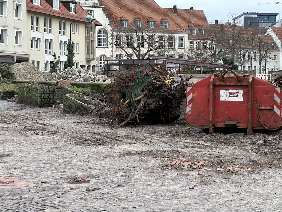 Baustelle am Ledenhof, ein großer Wurzelballen lagert neben dem Müllcontainer / Foto: Pohlmann