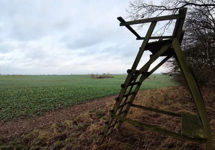 Hochsitz am Feldrand