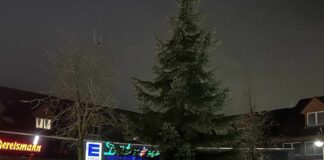 Dunkler Weihnachtsbaum in Hollage (Wallenhorst)