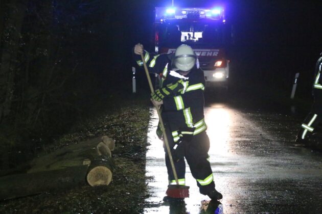 PKW prallt gegen umgekippten Baum in Bissendorf