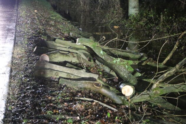 PKW prallt gegen umgekippten Baum in Bissendorf