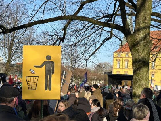 Demonstration Osnabrück bekennt Farbe – für Demokratie, gegen Faschismus, 27.01.2025, Schlossgarten Osnabrück