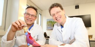 Dr. Mathias Lange und PD Dr. Carsten Schneider zeigen am Modell eines Herzens, wo die Stents bei dem minimalinvasiven Eingriff eingesetzt werden. Die Stents bestehen aus einem Nitinolgeflecht und sind etwa fünf bis sechs Zentimeter lang.