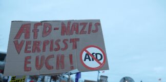 Demonstrationsschild gegen AfD und Nazis