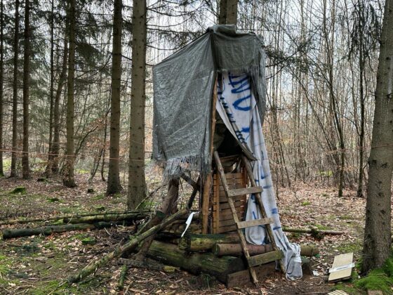 Nach langer Besetzung: Stadt Bramsche lässt Protestcamp "Waldi45" aufräumen
