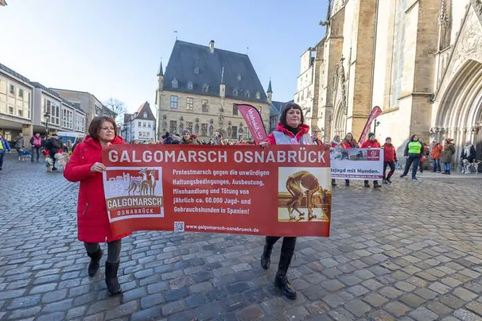 Galgomarsch (Archivbild) / Foto: Klaus Spielbüchler