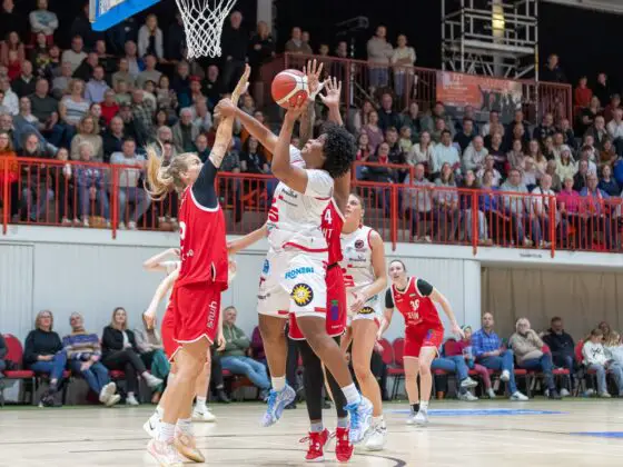 GiroLive-Panthers vs. TC Herne 1880. / Foto: Alexander Reinhard