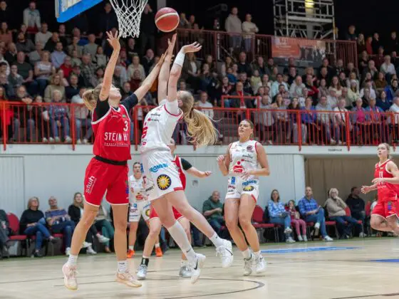 GiroLive-Panthers vs. TC Herne 1880. / Foto: Alexander Reinhard