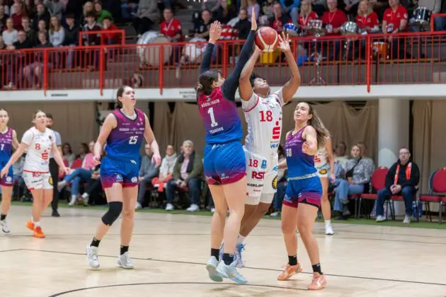 GiroLive-Panthers gegen Nördlingen