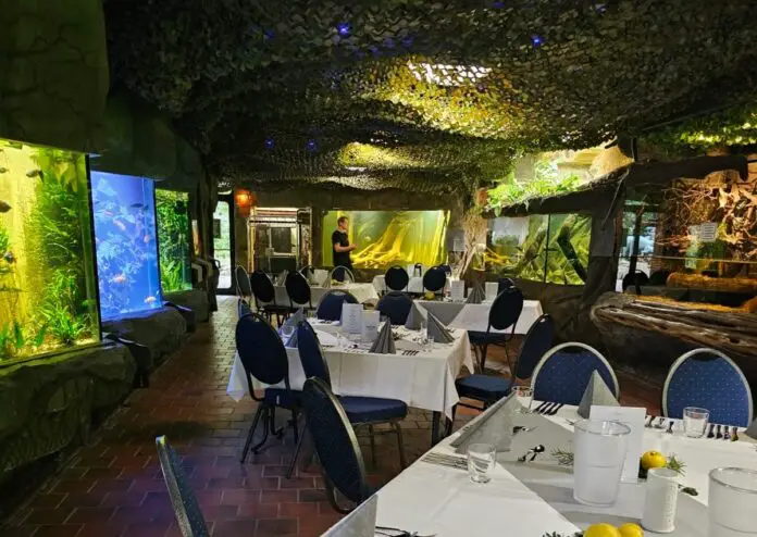 Dinner im Aquarium / Foto: Fiedler