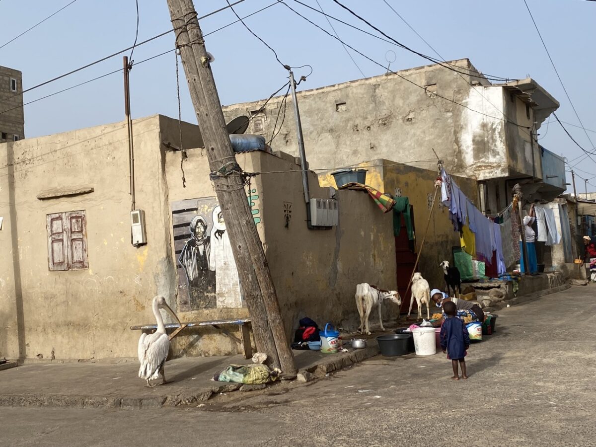 Straßenleben im Senegal / Foto: privat