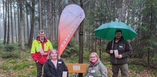 Trostbank im FriedWald