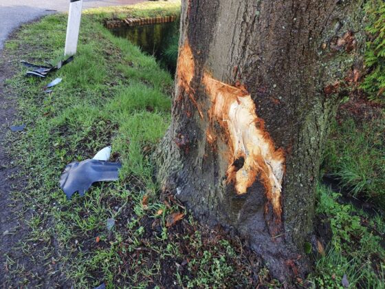 Unfall in Melle: Auto prallt gegen Baum und landet in Graben