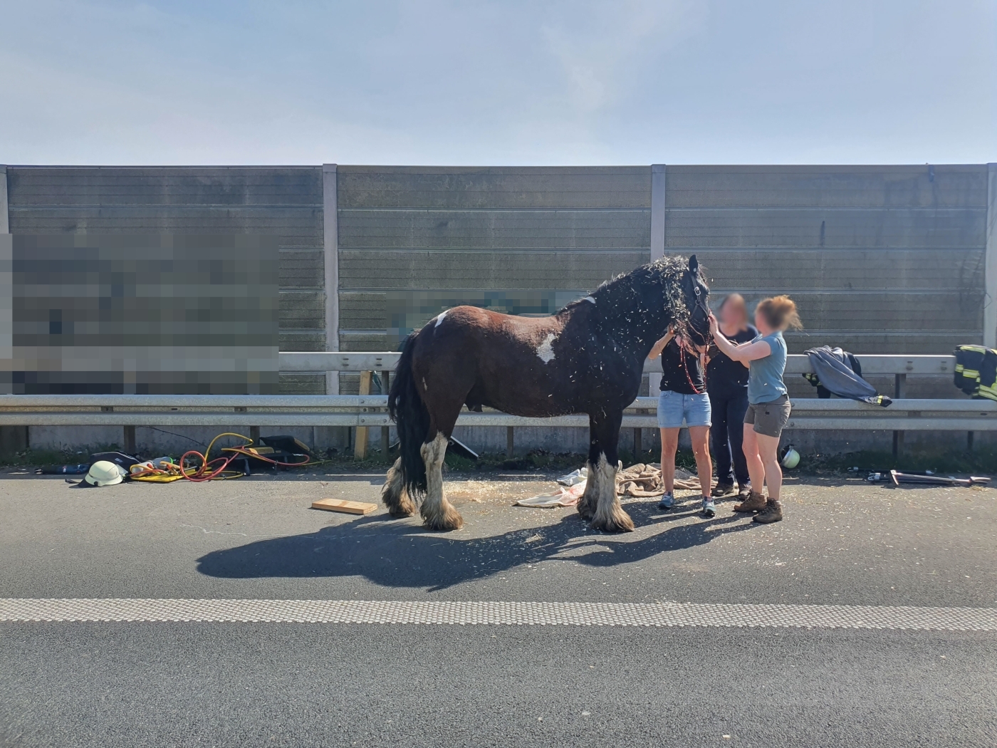 Tierrettung auf A30: Feuerwehr befreit Pferd aus Anhänger, Verkehrsteilnehmer verhalten sich respekt- und rücksichtslos