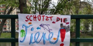 Tierschutz-Plakat (Archiv)