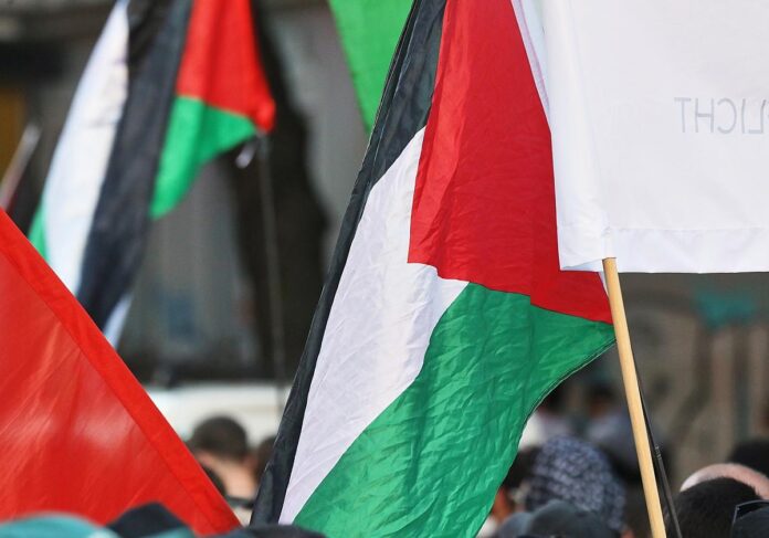 Palästinenser-Fahnen (Archiv)