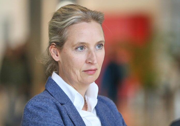Alice Weidel
