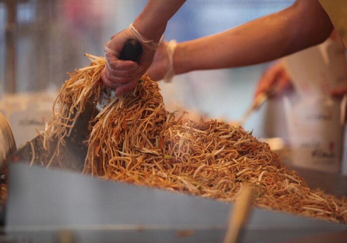 Asiatisches Nudelgericht