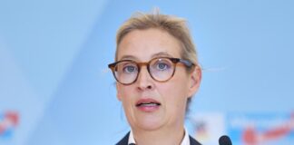 Alice Weidel