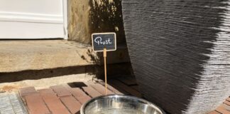 Trinknapf vor der HASEPOST