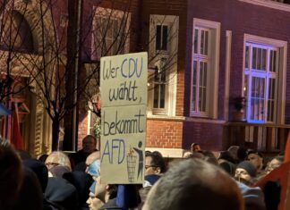 Leserbrief: Ein Weckruf aus Österreich nach Osnabrück Demonstration gegen CDU und AfD (30.01.2025) in Osnabrück