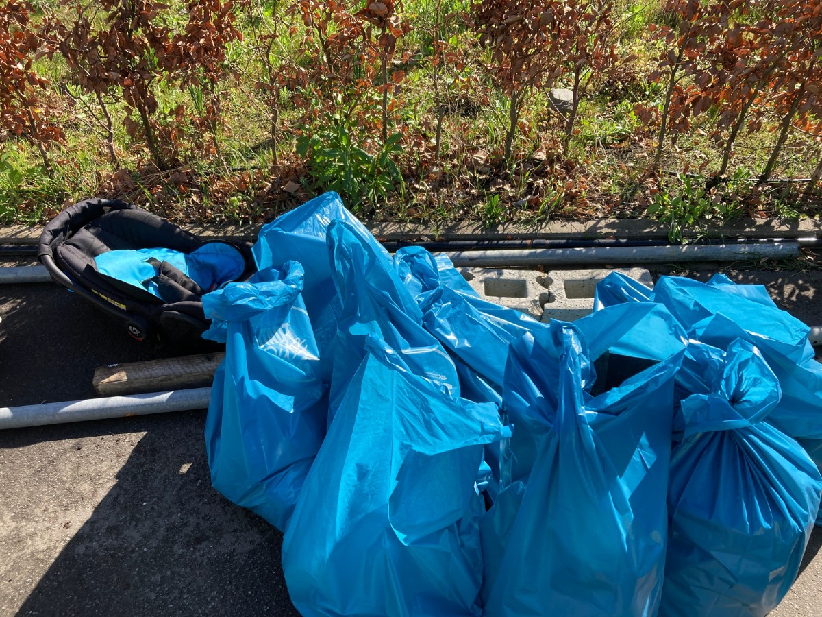 Viel Müll wurde im Wissenschaftspark gesammelt. / Foto: Dominik Lapp