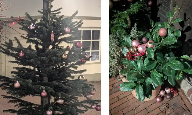Kinder halfen mit den Weihnachtsbaum vor dem Weinkrüger zu schmücken – Diebe legten den Schmuck achtlos am Straßenrand ab