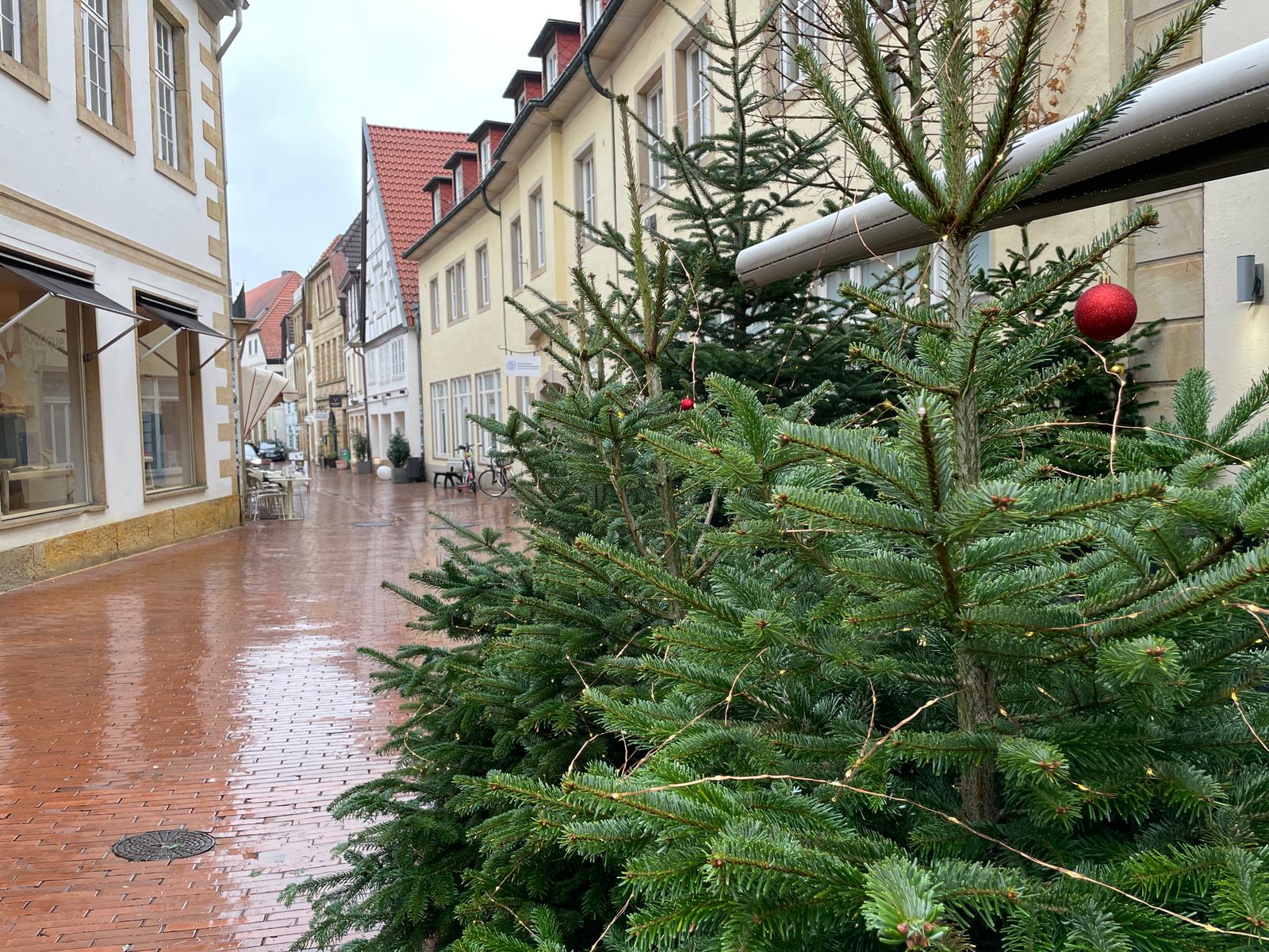 Winterwald vor Joe Enochs Sportsbar. / Foto: Dominik Lapp