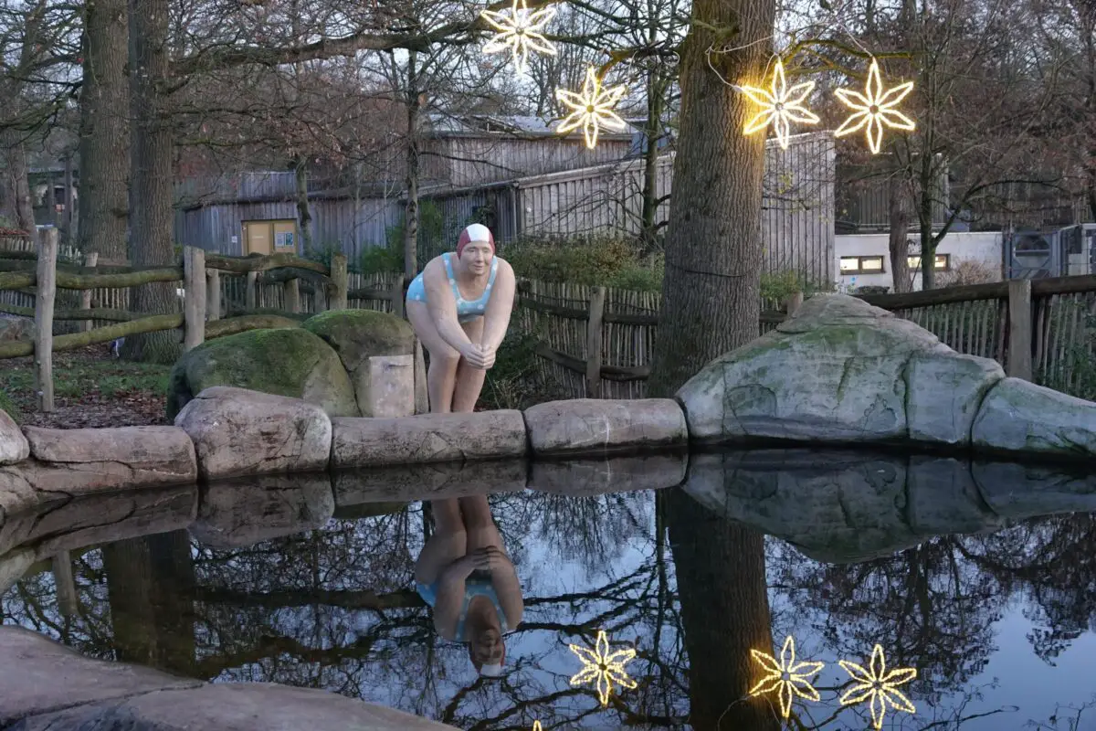 Kunsthandwerk und Kulinarik: Weihnachtsmarkt im Zoo Osnabrück findet wieder statt Die Ausstellung „Alltagsmenschen“ von Laura und Christel Lechner lädt mit lebensnahen Figuren zu besonderen Entdeckungen im Zoo Osnabrück ein.