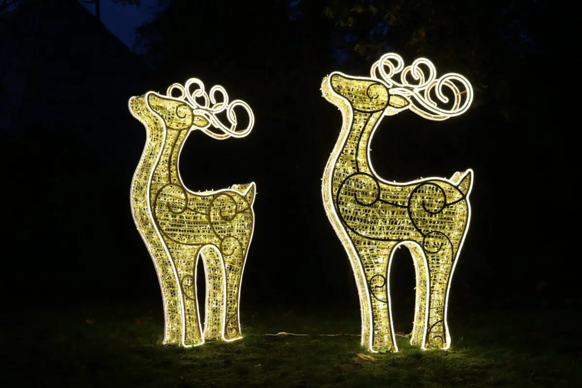 Kunsthandwerk und Kulinarik: Weihnachtsmarkt im Zoo Osnabrück findet wieder statt Funkelnde Zoo-Lights schaffen im Zoo Osnabrück eine stimmungsvolle Atmosphäre und begleiten die Besucher entlang des Rundwegs.